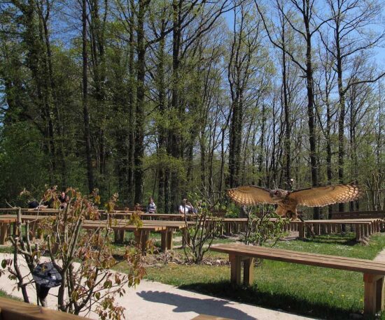 PARCOURS DE VISITE DES ANIMAUX NOCTURNES - ARGONNE ARDENNAISE